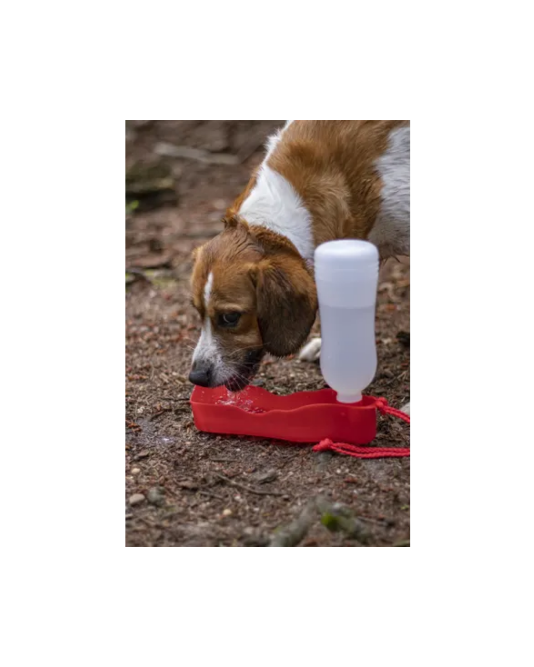 Waterverdeler Gulliver Classic - Rood