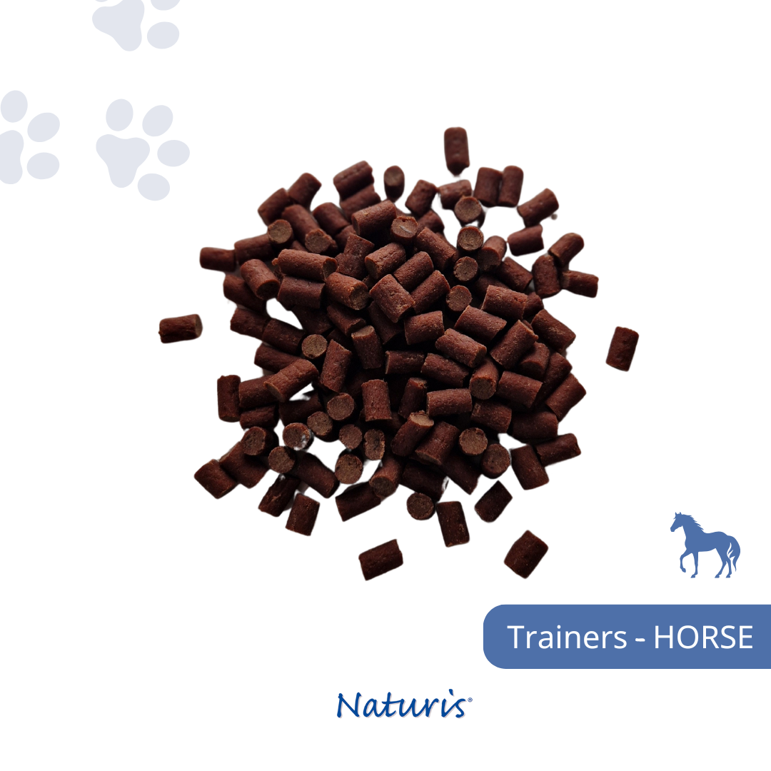 Trainers Paard - 1000gr