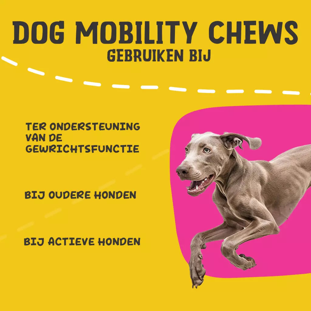 Excellent Pets Dog Mobility Soft Chews 120 Treats