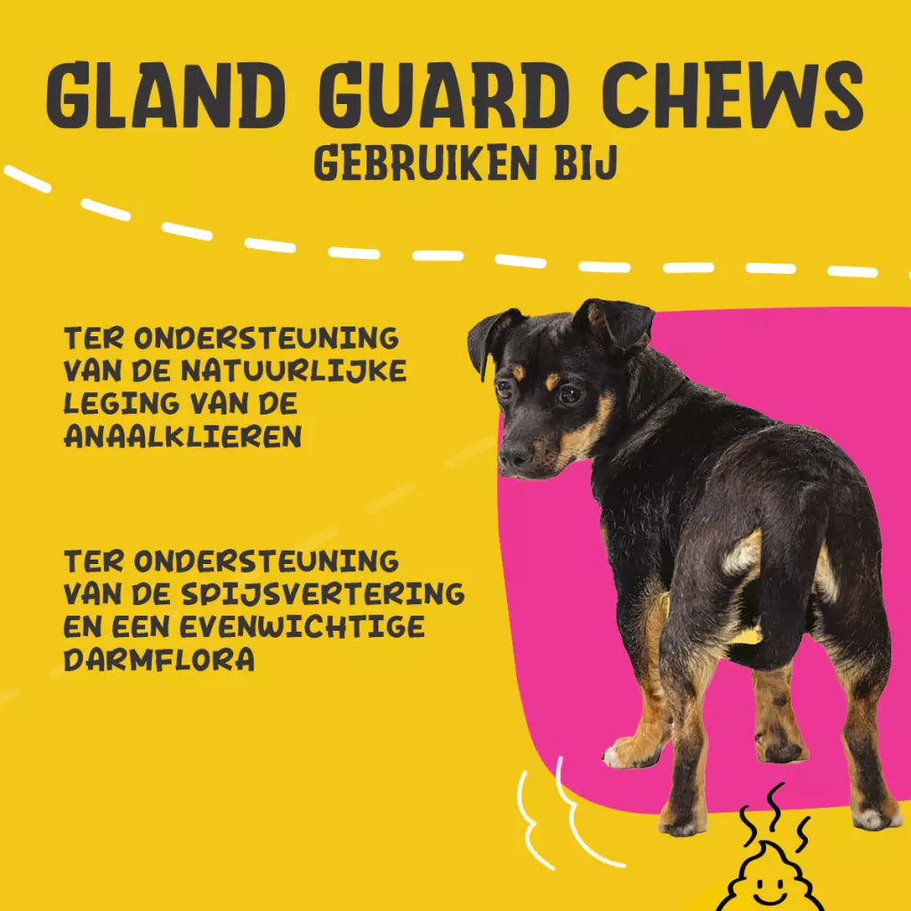 Excellent Pets Gland Guard Soft Chews 60 Treats