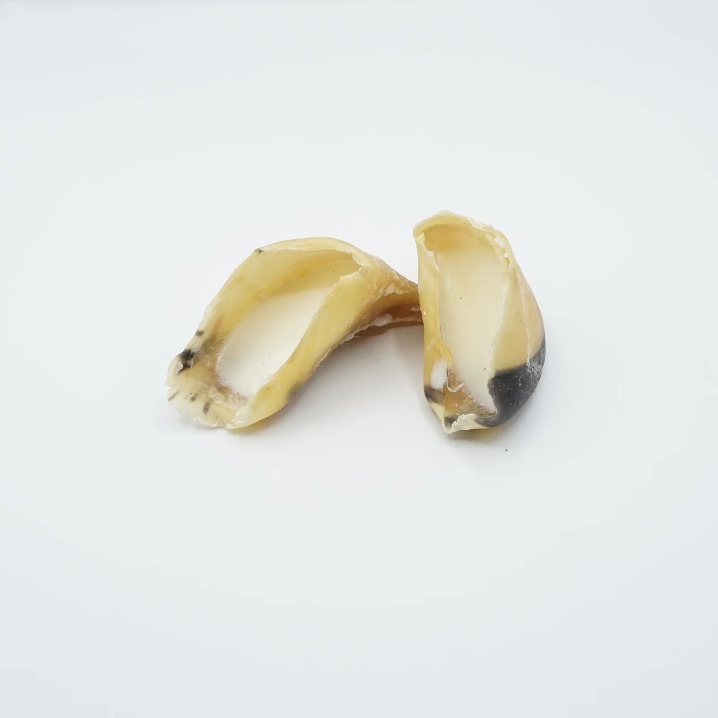 Naturis Kalfshoefjes 100% Schapenvet 10 stuks