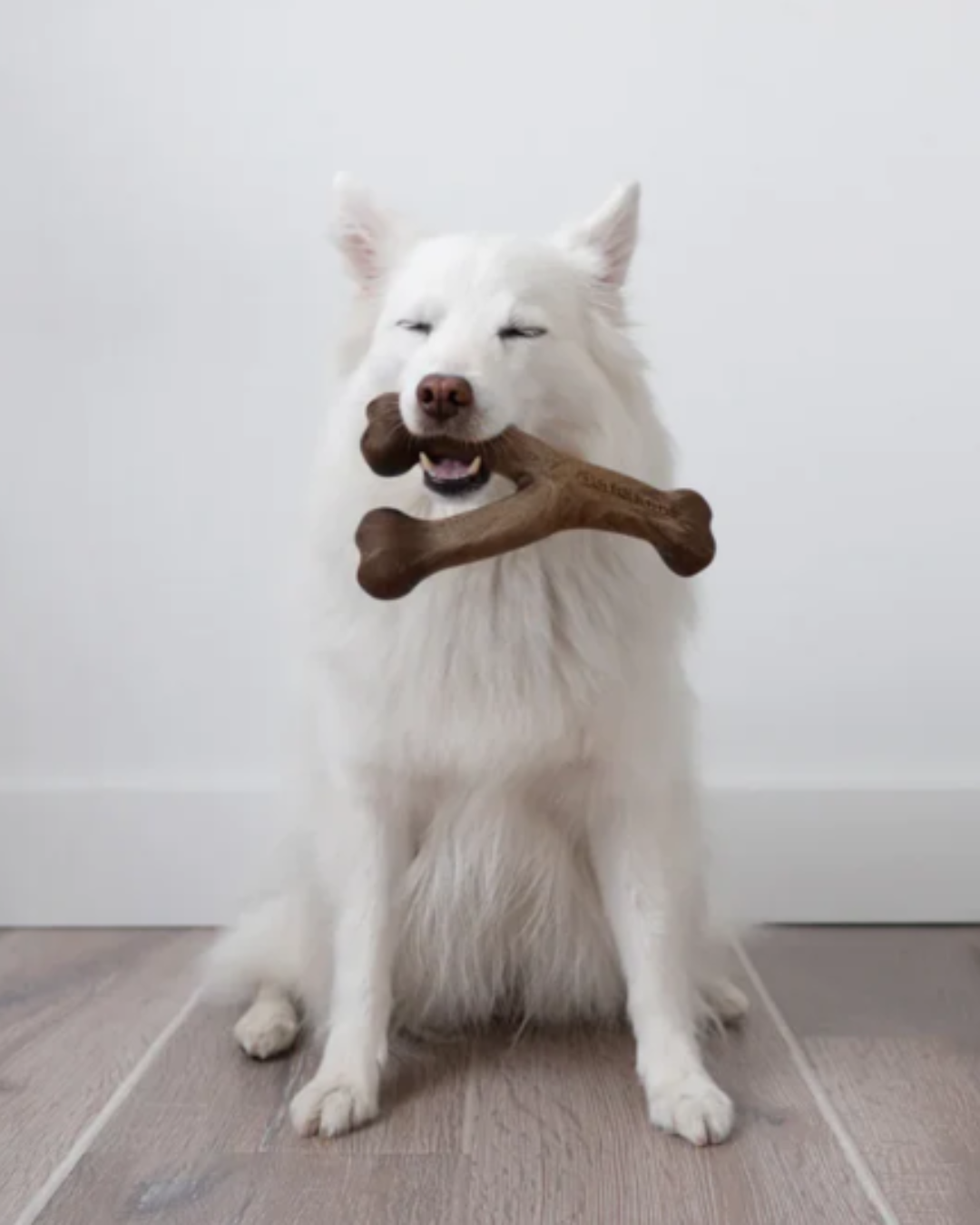 Wishbone Bacon - Giant